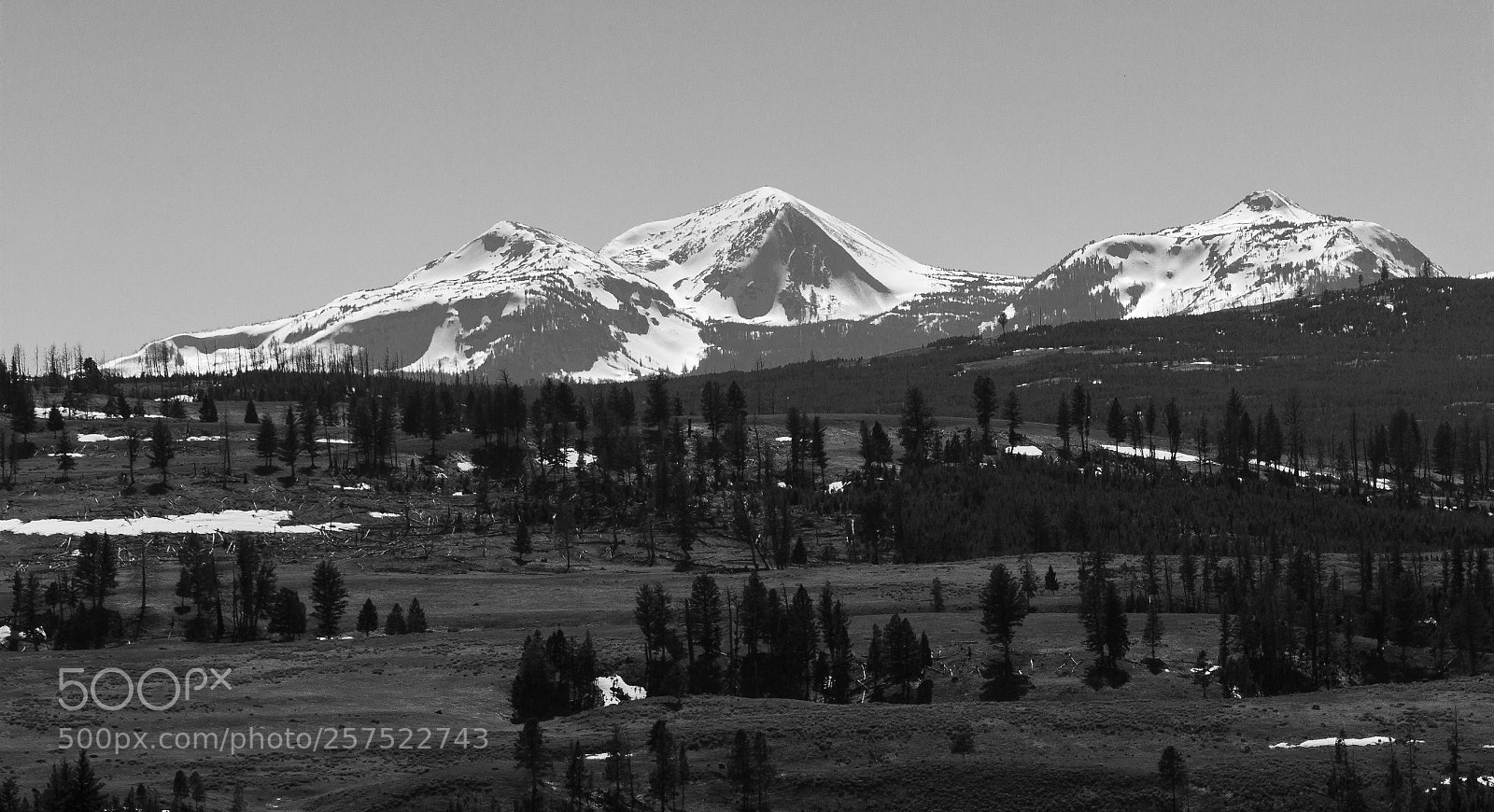 Canon EOS 60D sample photo. Yellowstone park photography