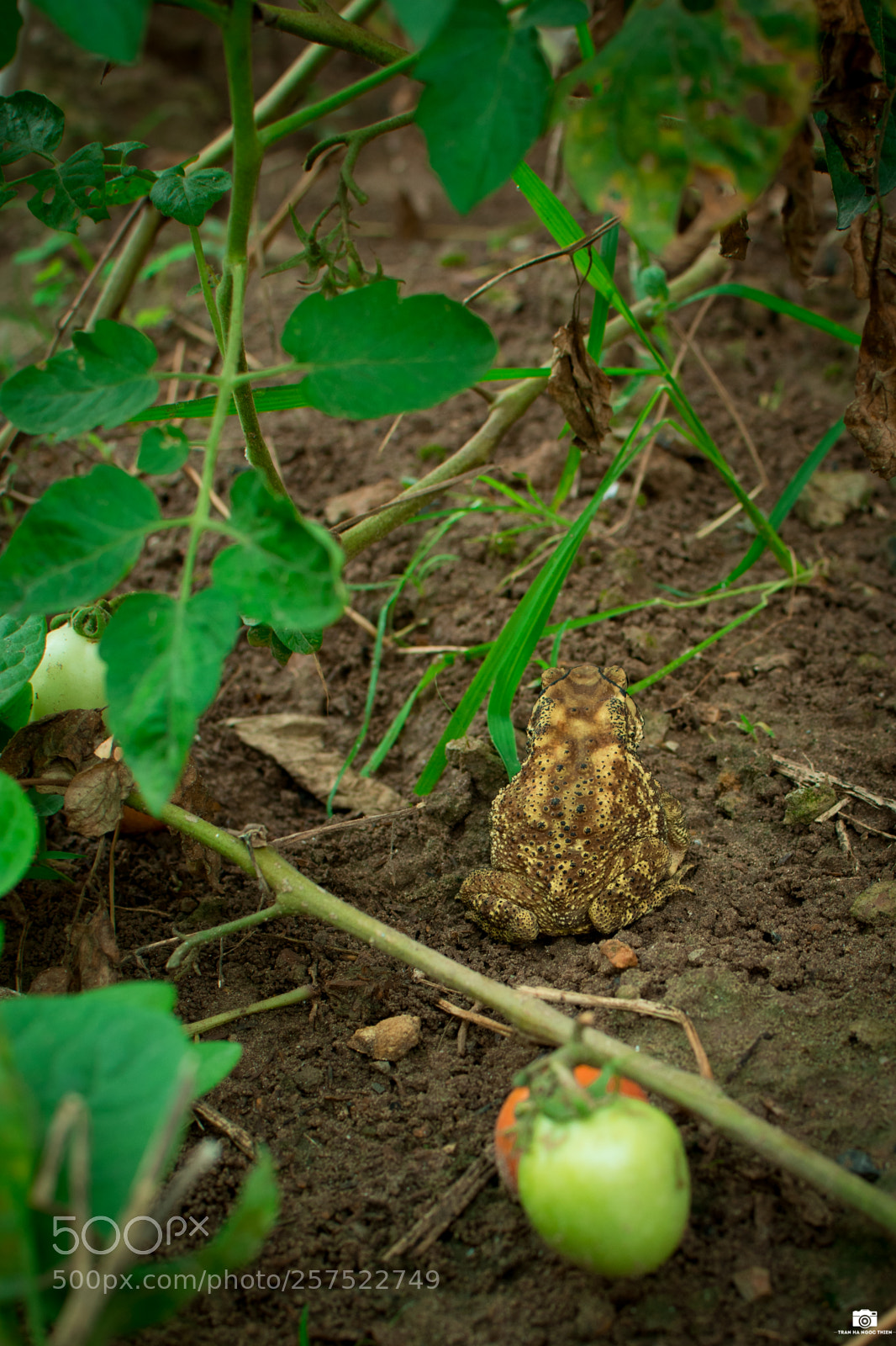 Nikon D3400 sample photo. Untitled photography