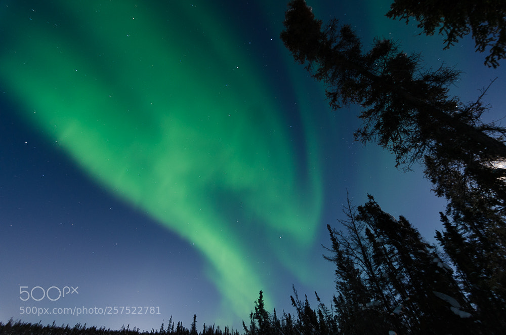 Nikon D7000 sample photo. Northern lights in yellowknife photography