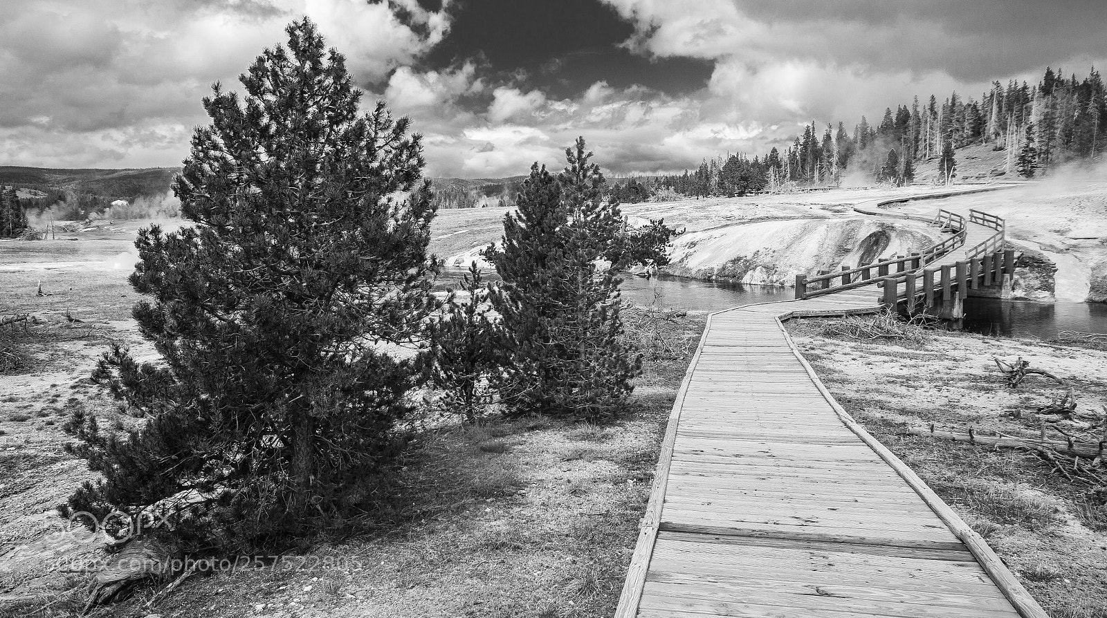 Canon EOS 60D sample photo. Walking the trail photography