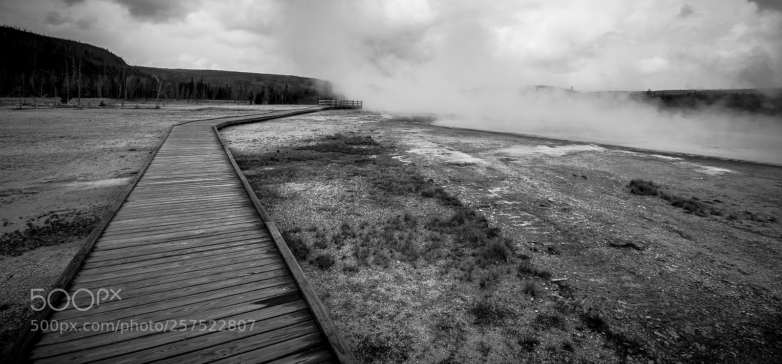 Canon EOS 60D sample photo. On the path photography
