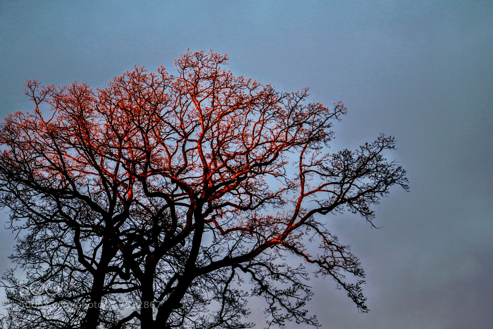 Canon EOS 750D (EOS Rebel T6i / EOS Kiss X8i) sample photo. Reflections of a sunset photography