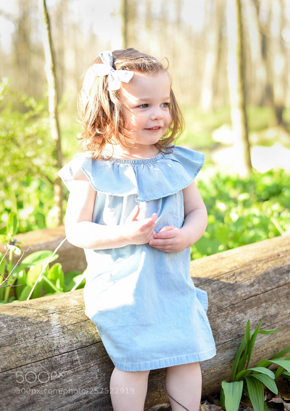 Nikon D750 sample photo. Untitled photography