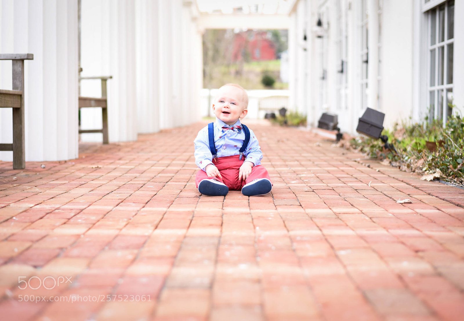 Nikon D750 sample photo. Untitled photography
