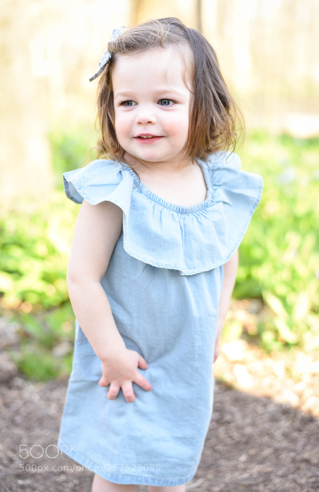 Nikon D750 sample photo. Untitled photography