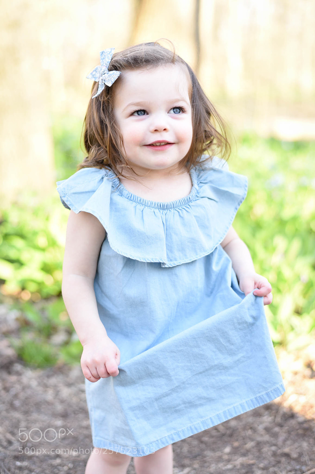 Nikon D750 sample photo. Untitled photography