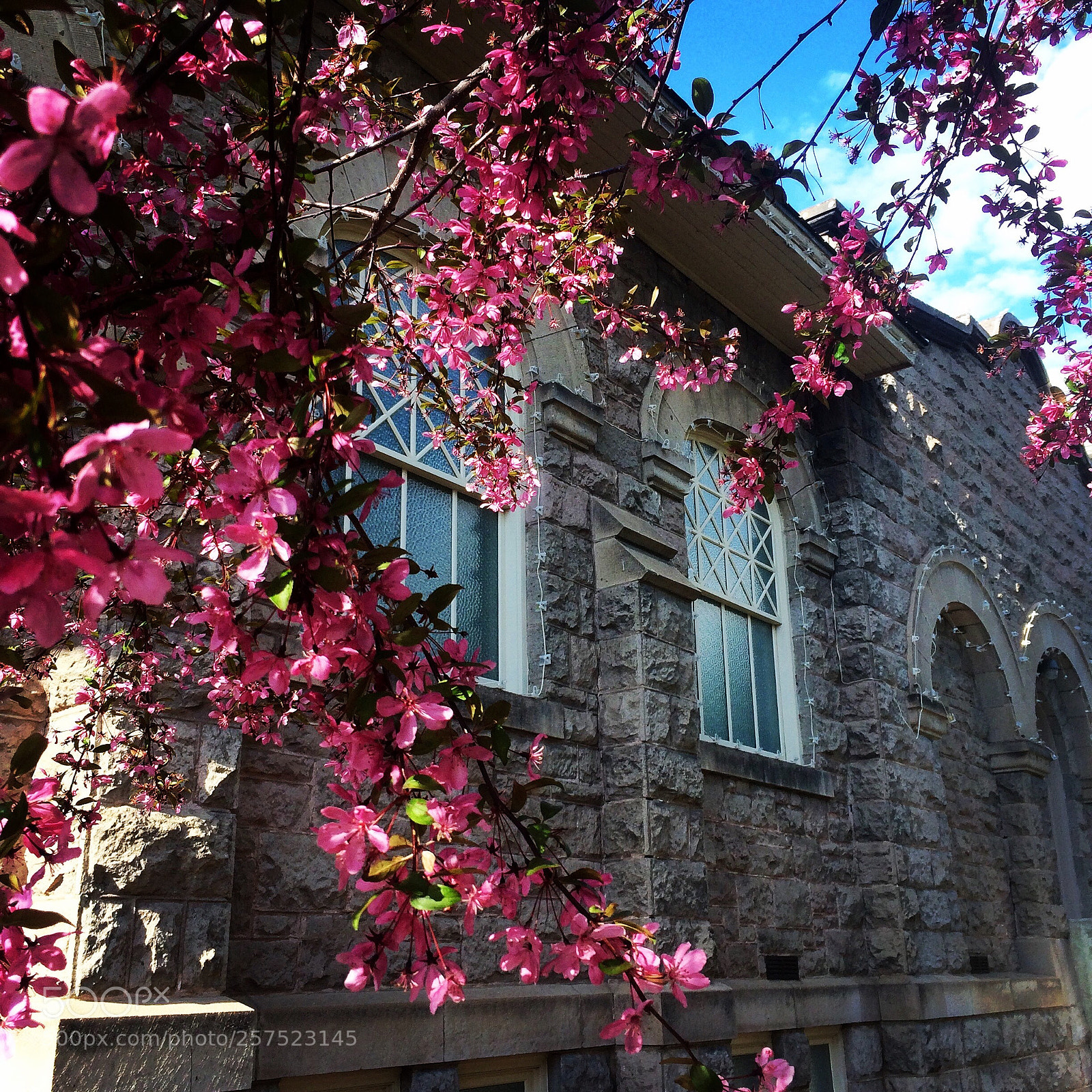 Apple iPhone 5s sample photo. Spring explosion  photography