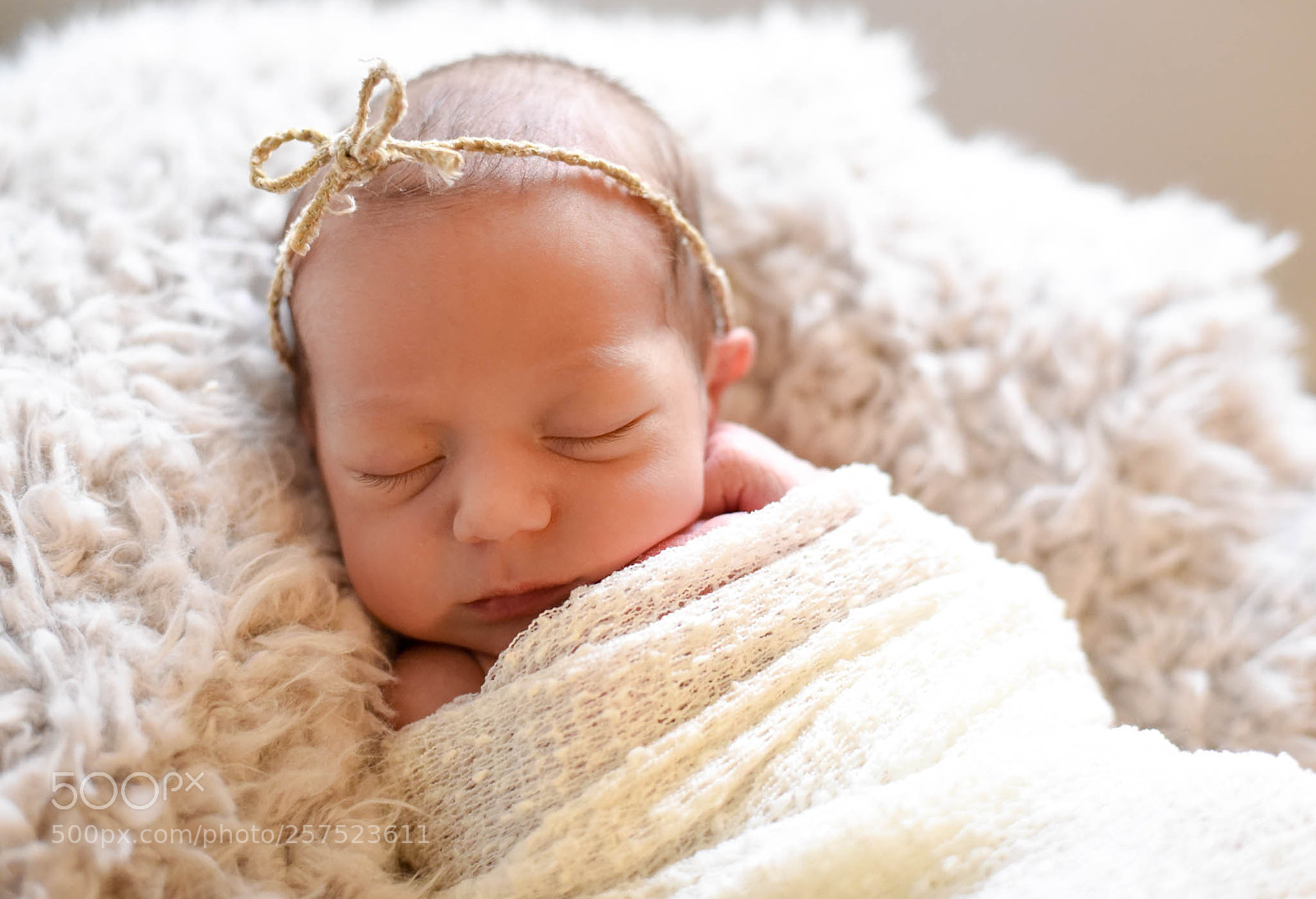 Nikon D750 sample photo. Untitled photography