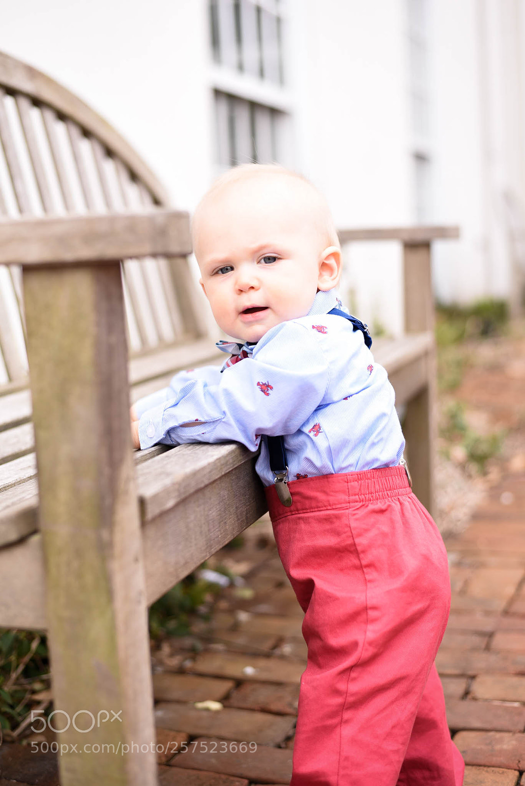 Nikon D750 sample photo. Untitled photography