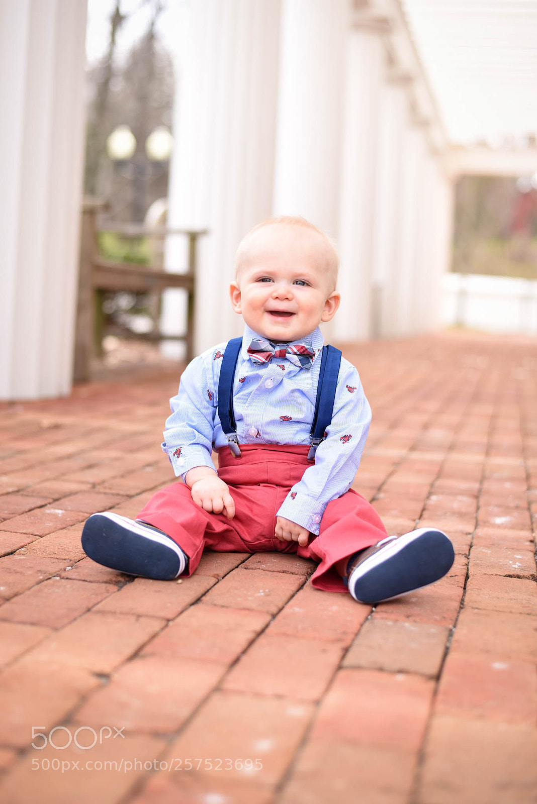 Nikon D750 sample photo. Untitled photography