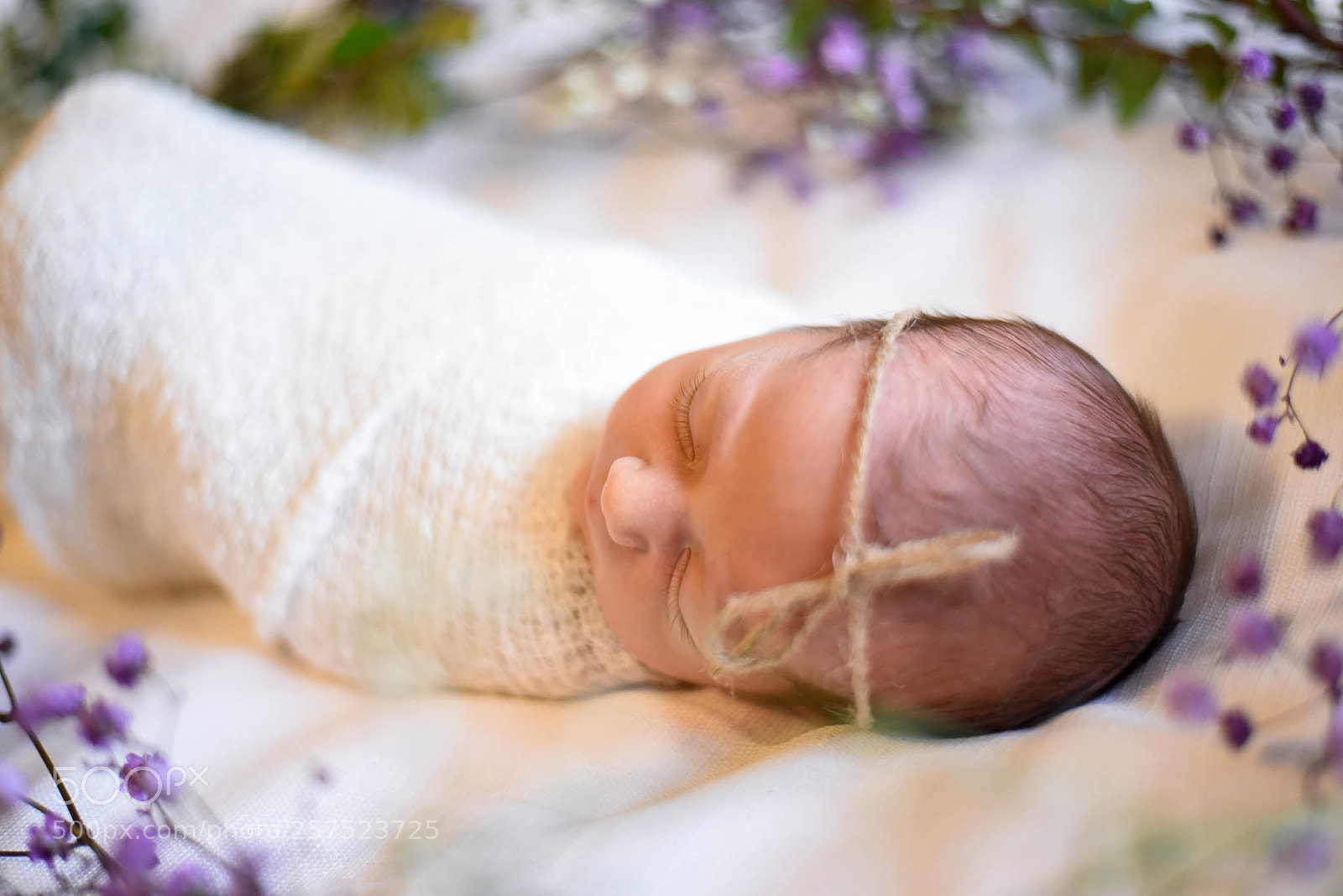 Nikon D750 sample photo. Untitled photography