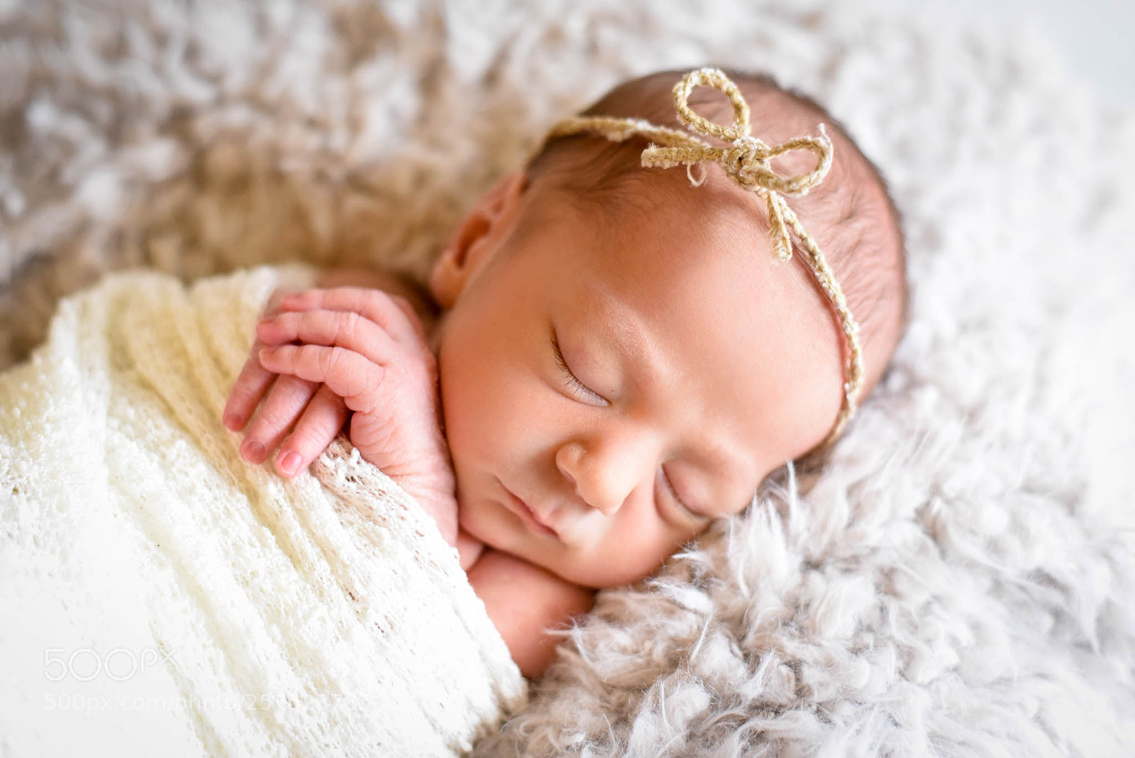 Nikon D750 sample photo. Untitled photography