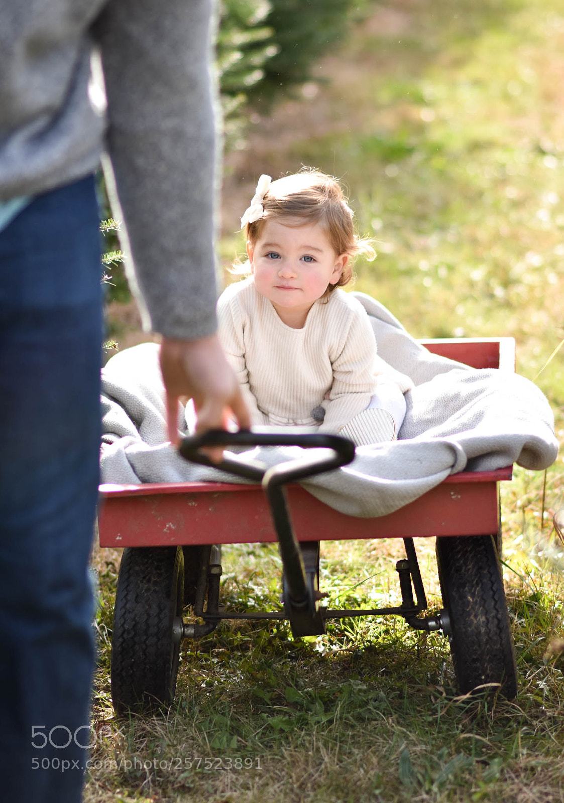 Nikon D5500 sample photo. Untitled photography