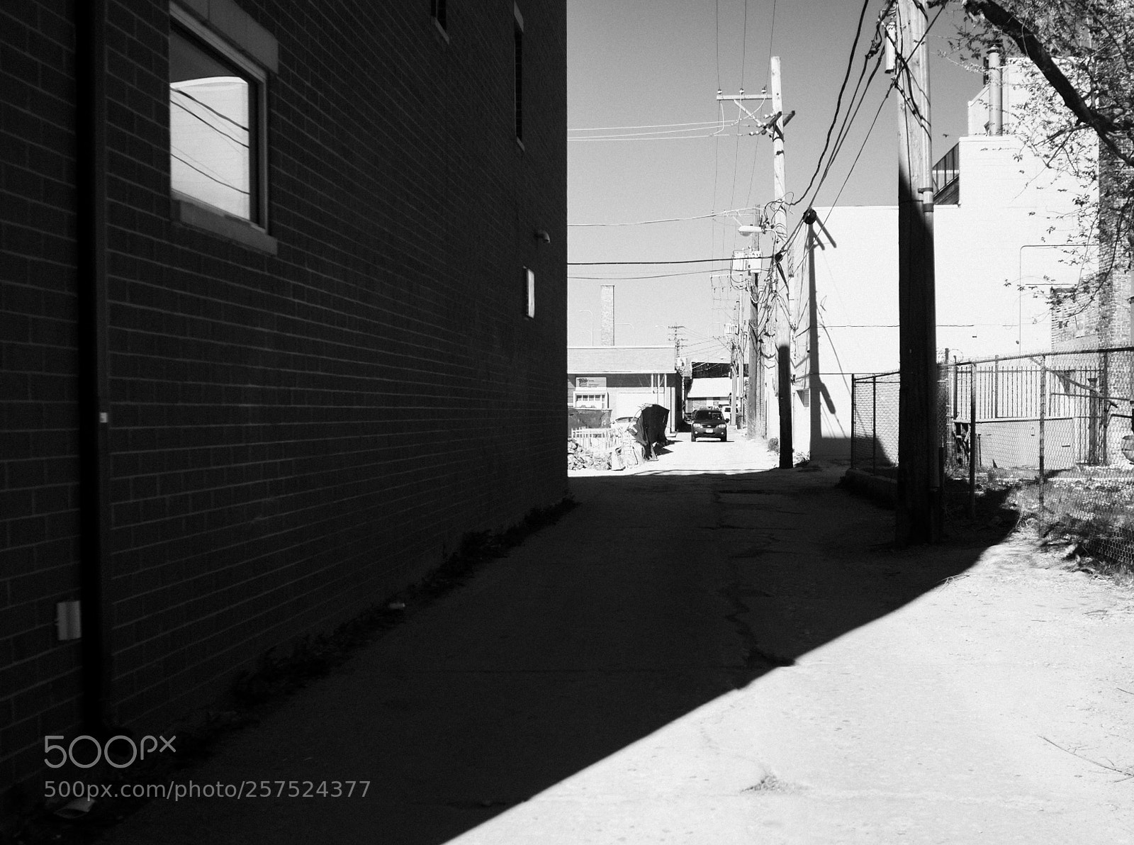 Fujifilm FinePix X100 sample photo. Ally south of damen photography