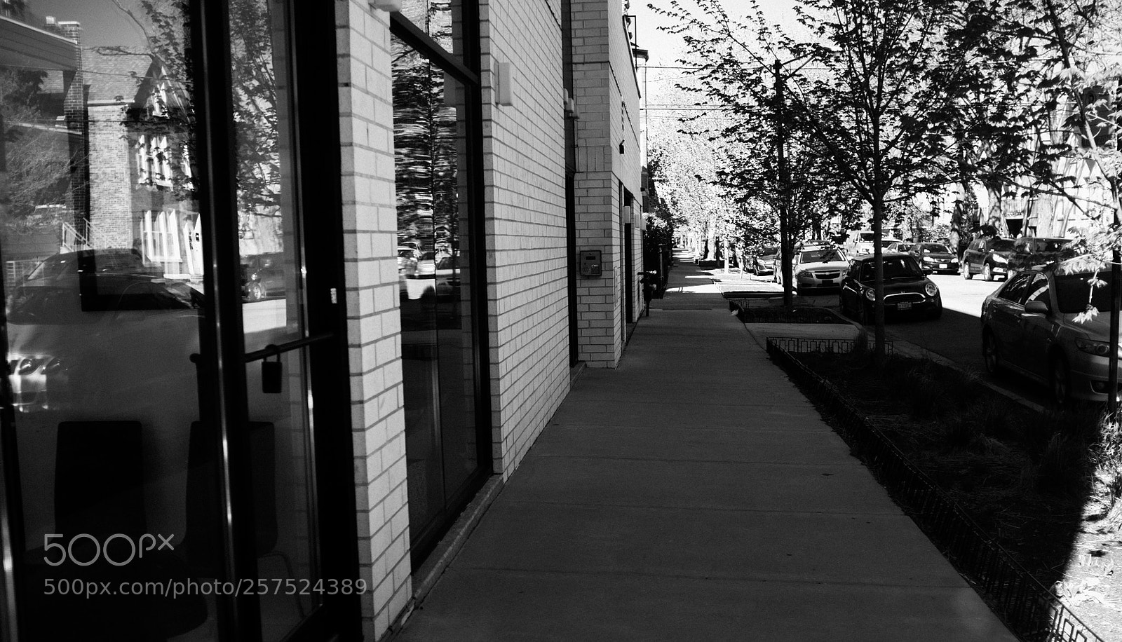Fujifilm FinePix X100 sample photo. Damen and shakespeare photography