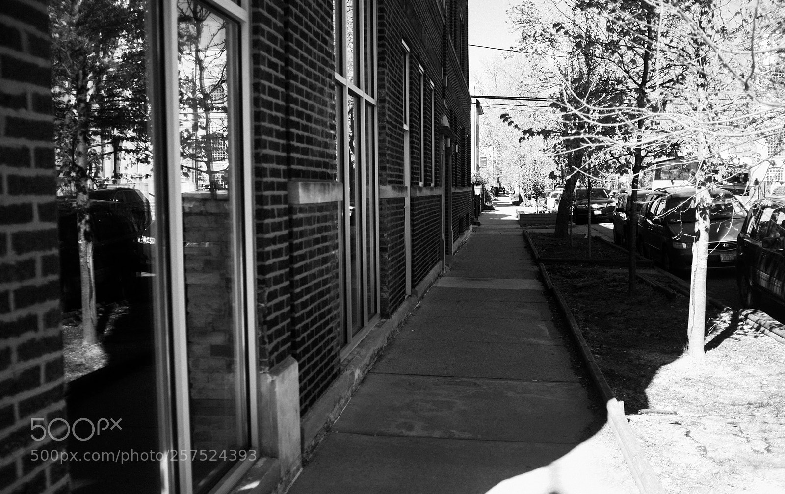 Fujifilm FinePix X100 sample photo. Damen and dickens photography