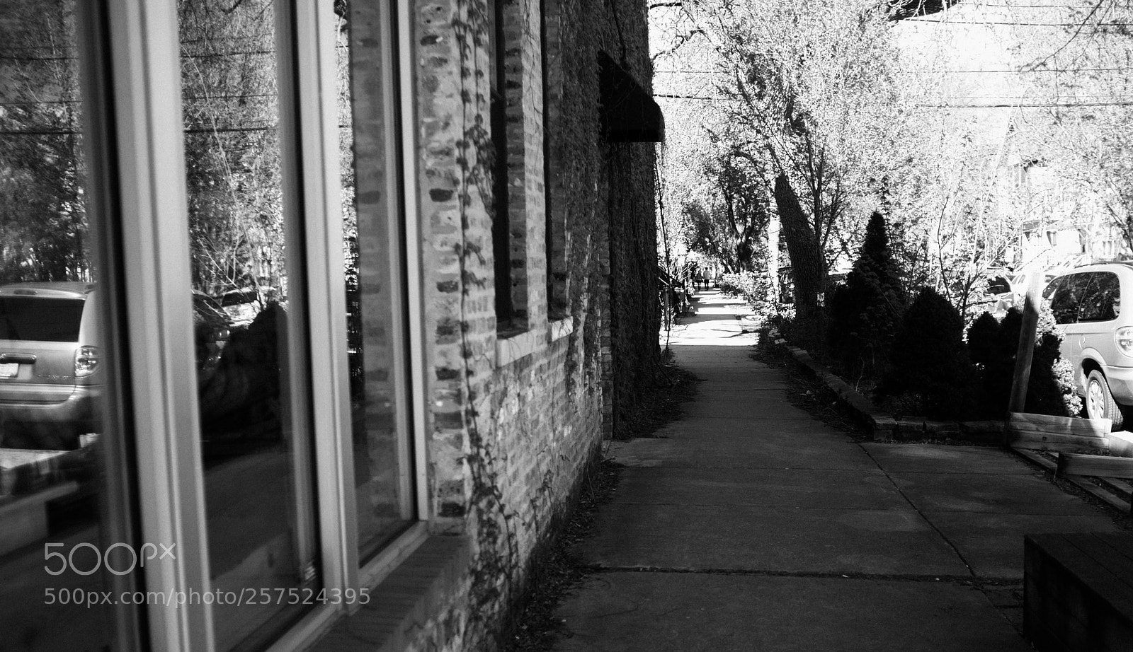 Fujifilm FinePix X100 sample photo. Damen and cortland photography