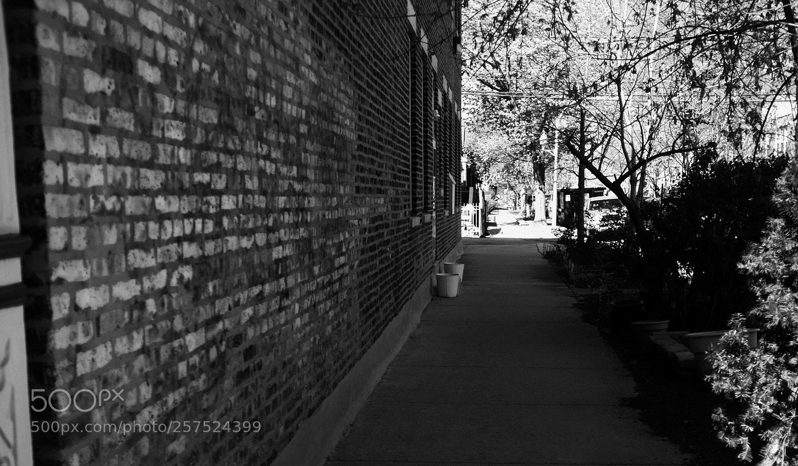 Fujifilm FinePix X100 sample photo. Damen and homer photography