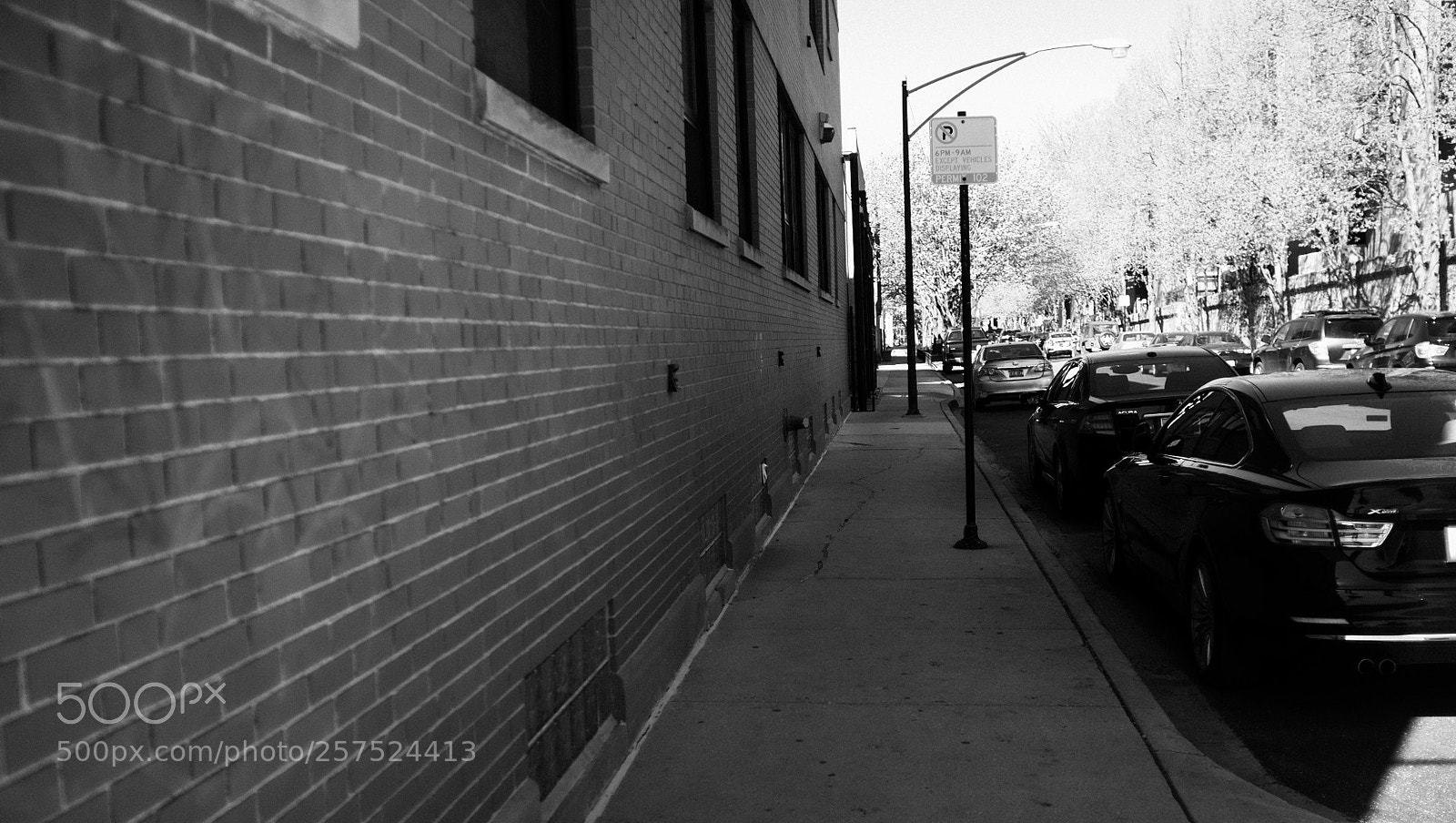 Fujifilm FinePix X100 sample photo. Damen and willow photography