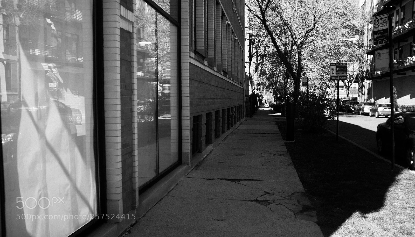Fujifilm FinePix X100 sample photo. Damen and st. paul photography