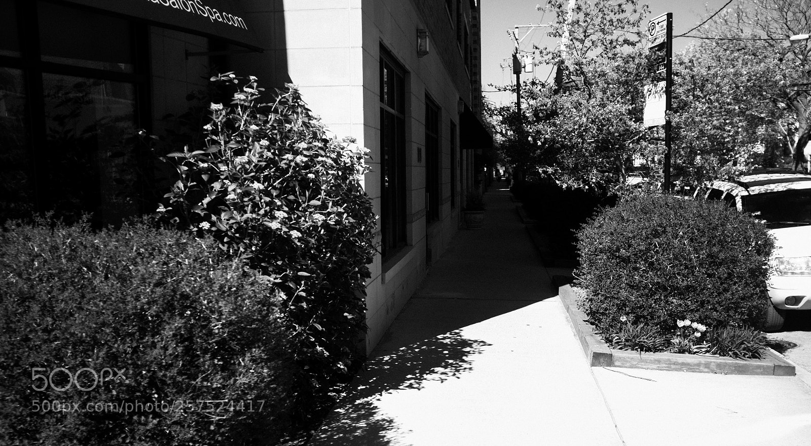 Fujifilm FinePix X100 sample photo. Damen and churchill photography
