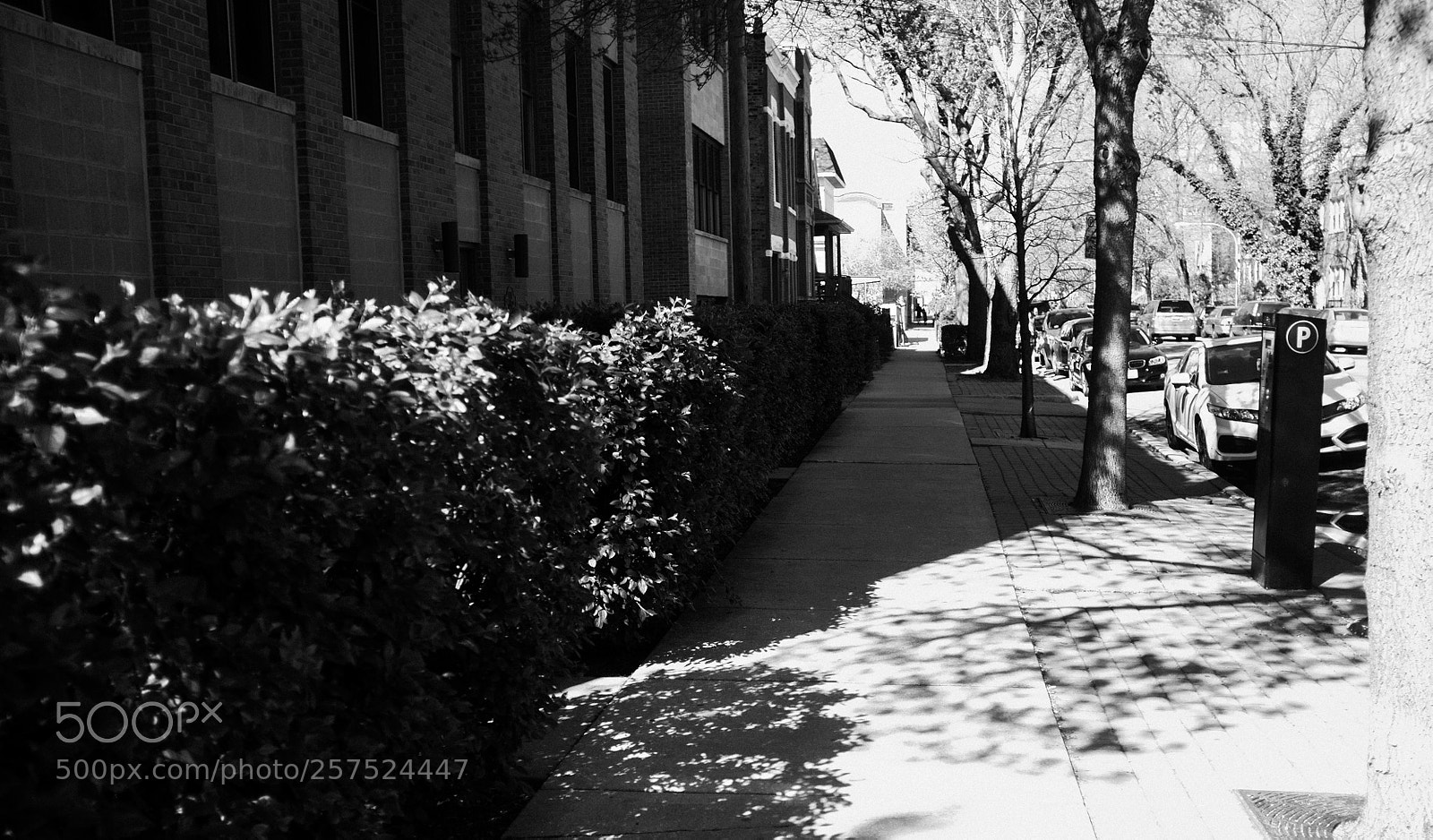 Fujifilm FinePix X100 sample photo. Damen and wabansia photography