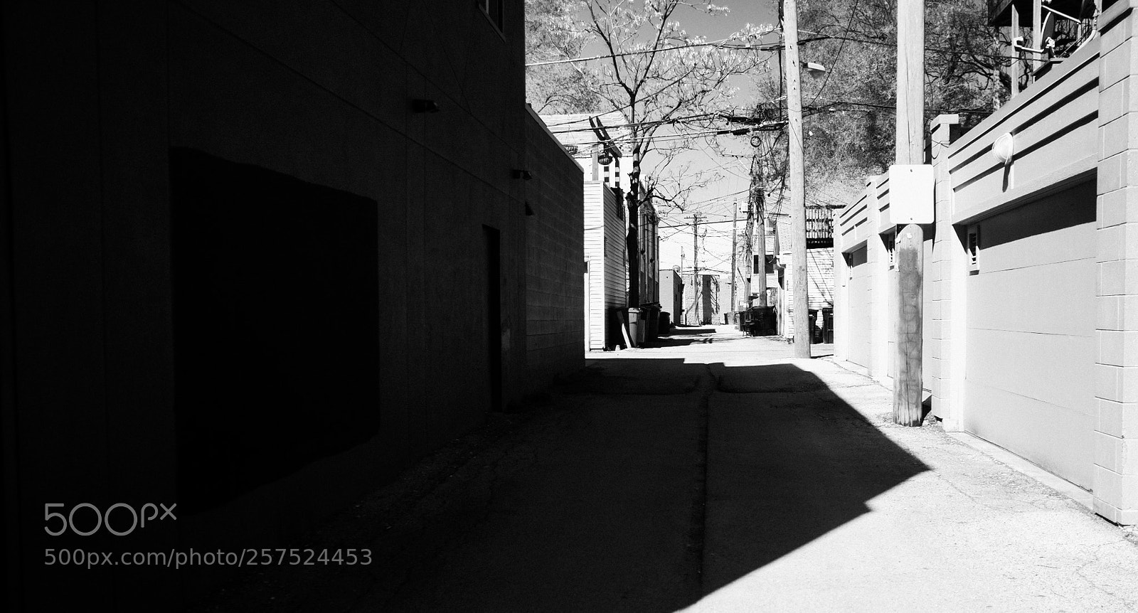 Fujifilm FinePix X100 sample photo. Alley south of damen photography