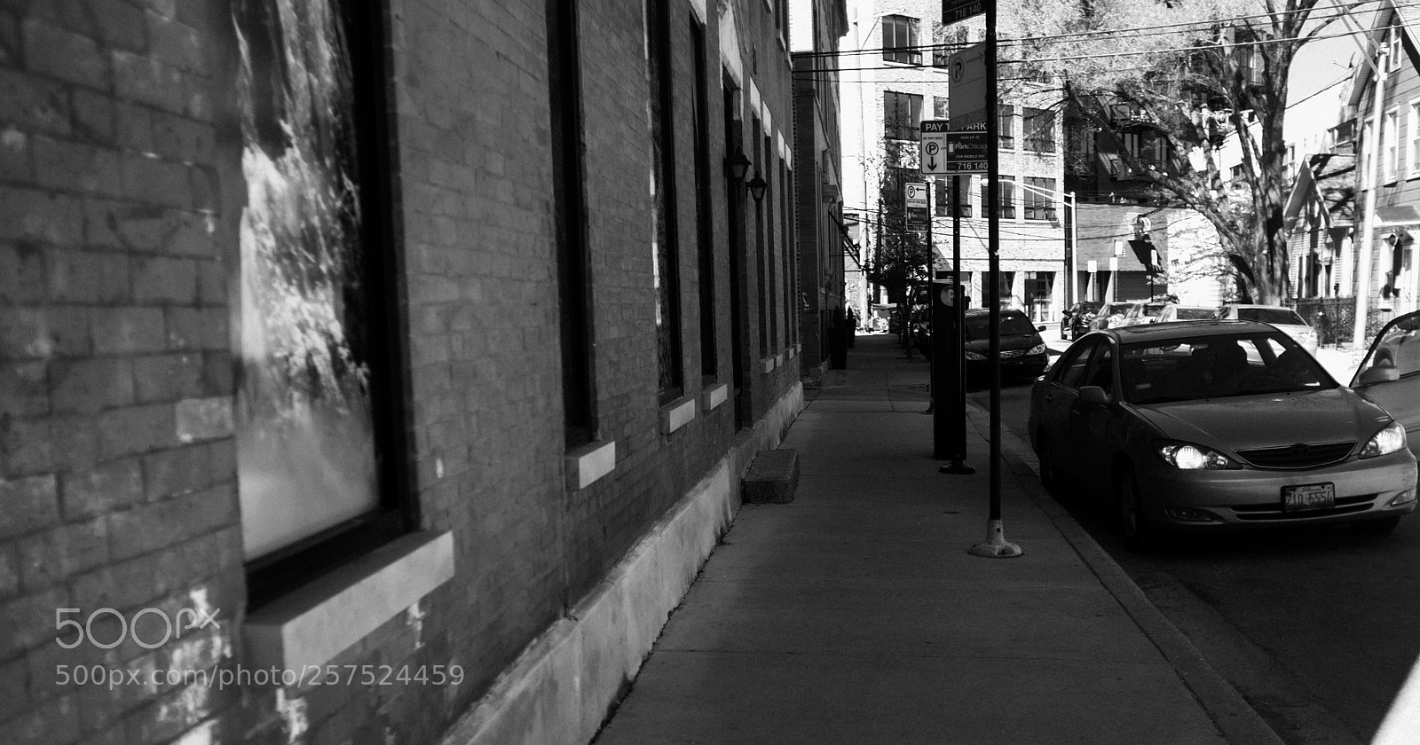 Fujifilm FinePix X100 sample photo. Damen and concord photography