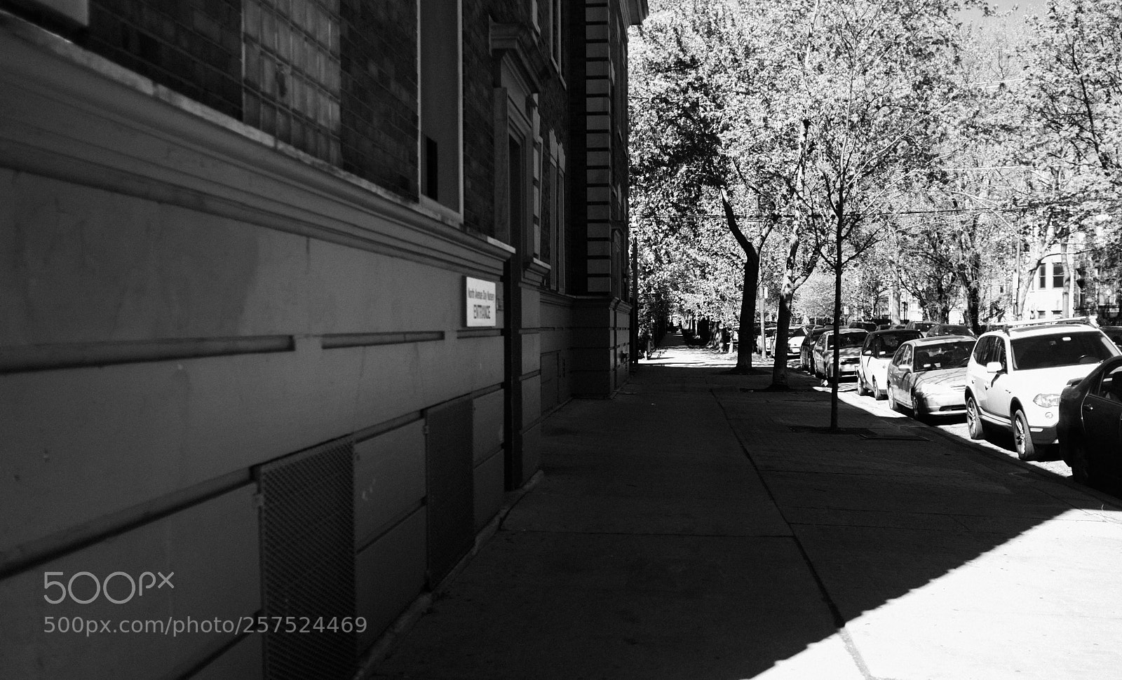 Fujifilm FinePix X100 sample photo. Damen and pierce photography