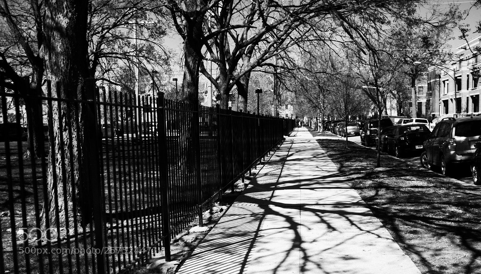 Fujifilm FinePix X100 sample photo. Damen and le moyne photography