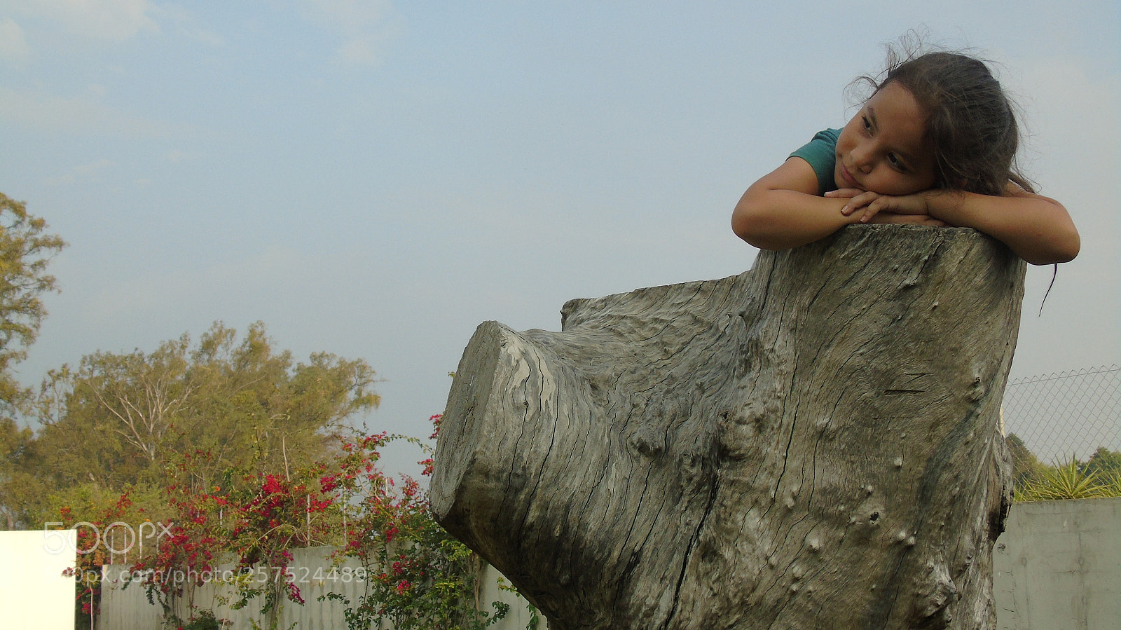 Sony Cyber-shot DSC-H400 sample photo. Ley de mirada photography