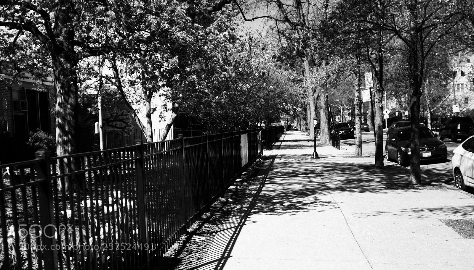 Fujifilm FinePix X100 sample photo. Damen and schiller photography