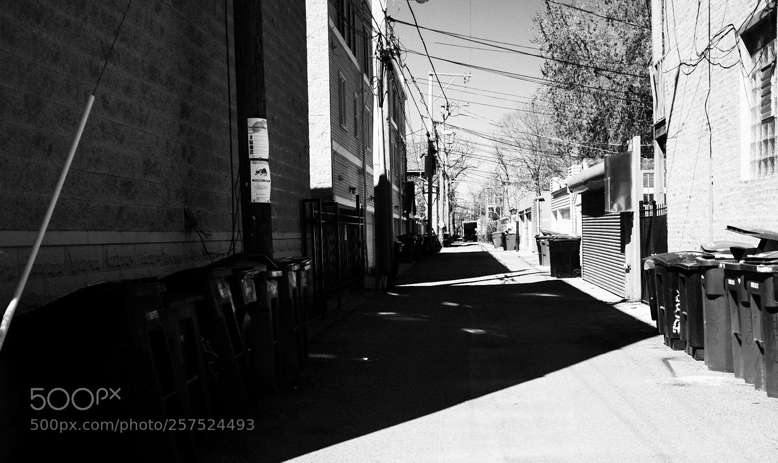 Fujifilm FinePix X100 sample photo. Alley south of damen photography