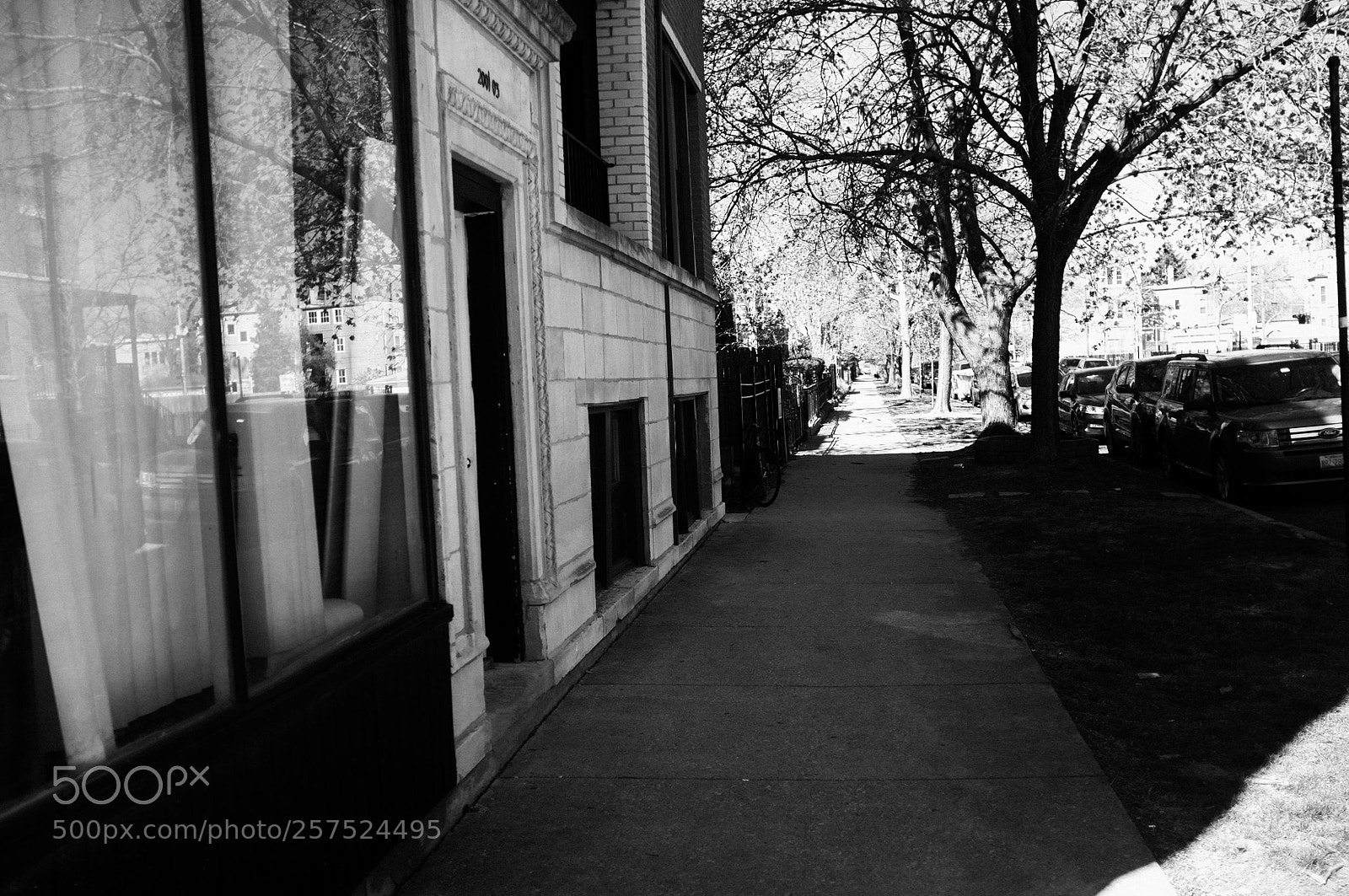 Fujifilm FinePix X100 sample photo. Damen and evergreen photography
