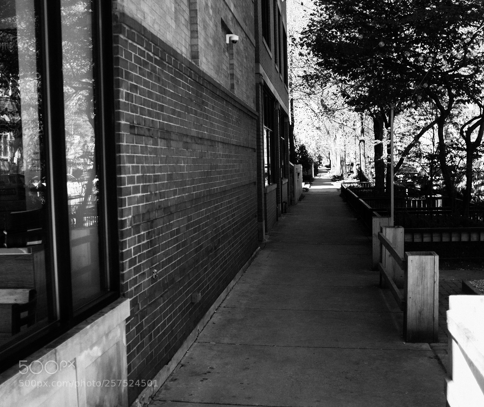 Fujifilm FinePix X100 sample photo. Damen and potomac photography