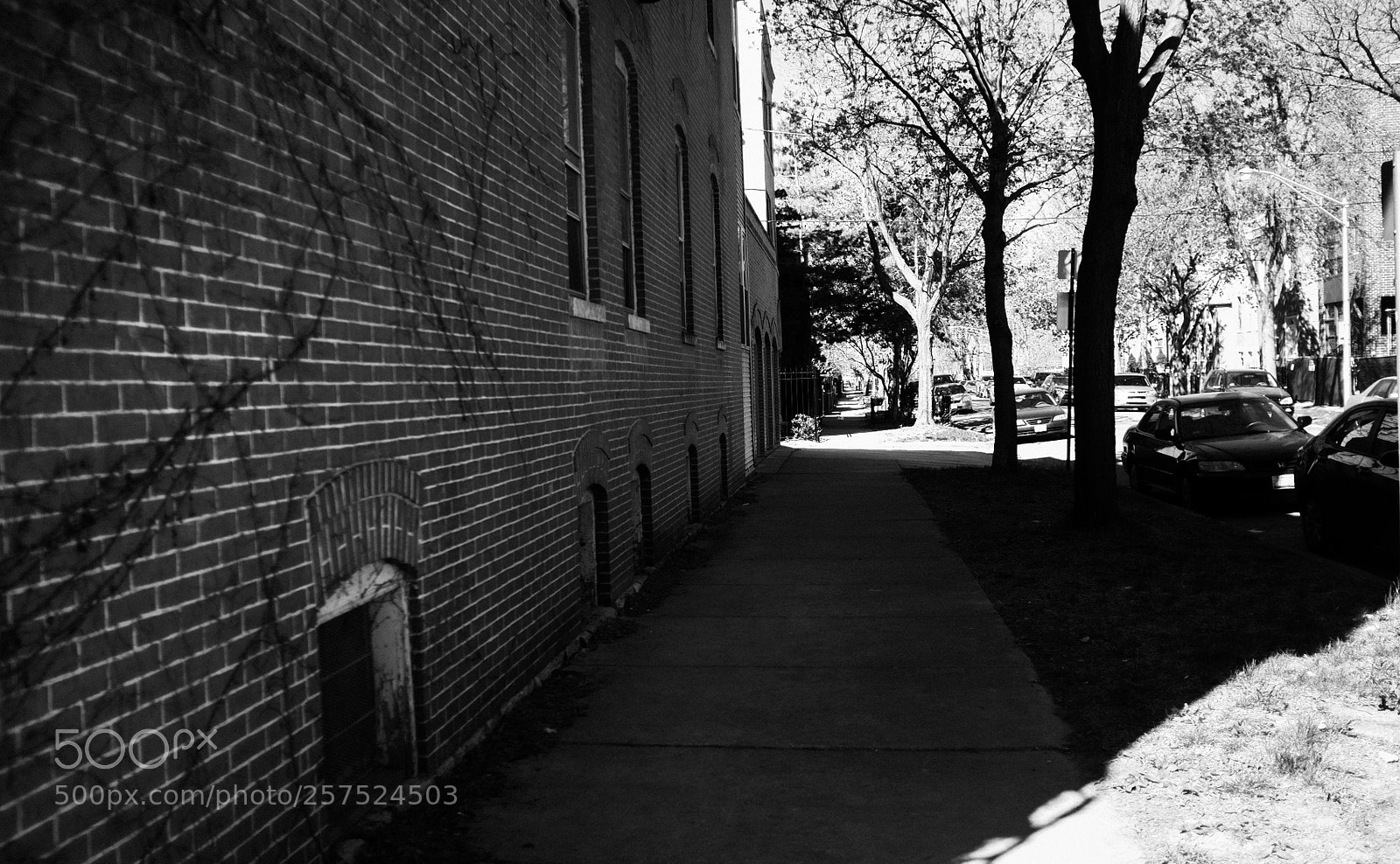 Fujifilm FinePix X100 sample photo. Damen and crystal photography