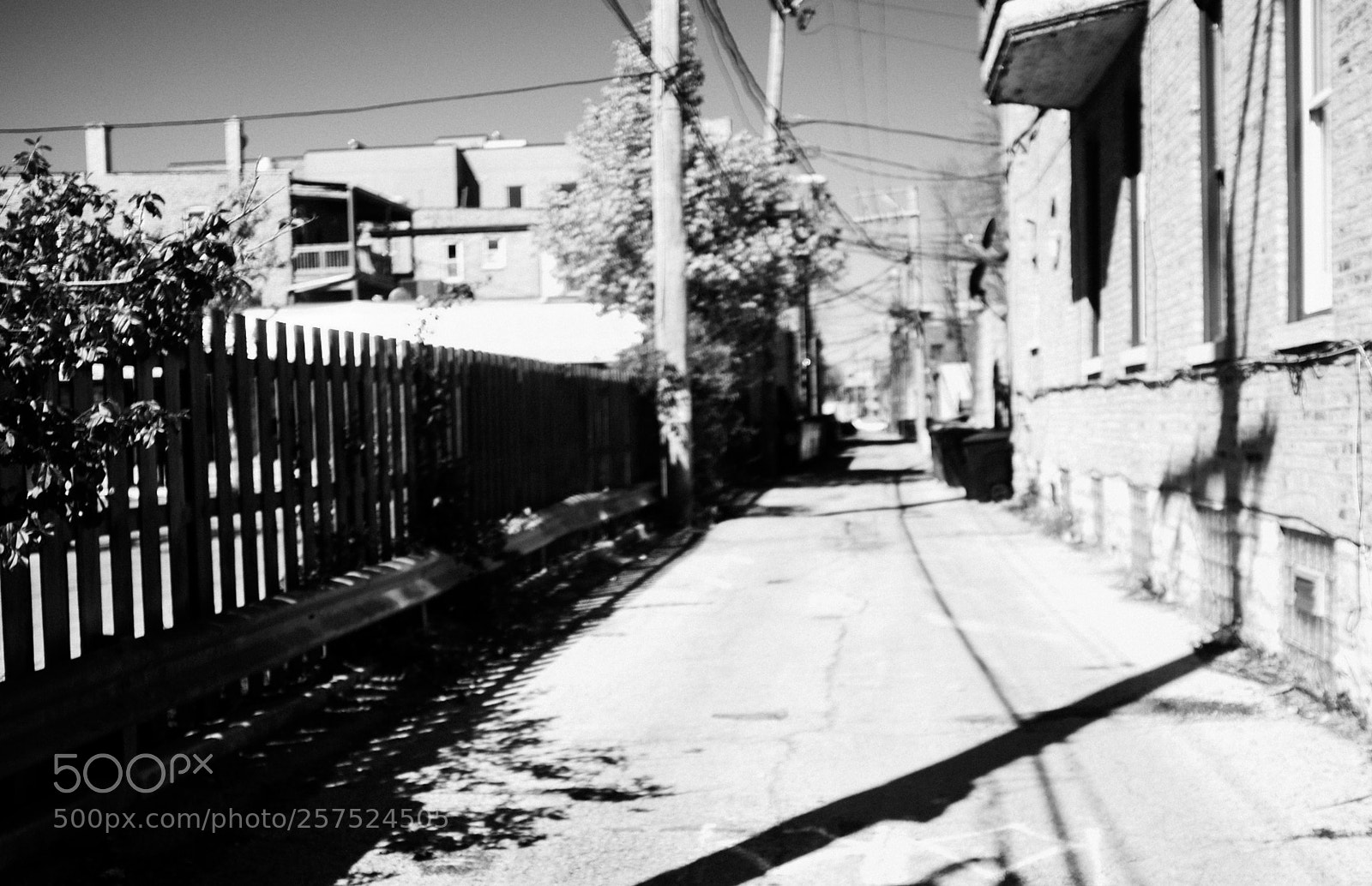 Fujifilm FinePix X100 sample photo. Alley south of damen photography
