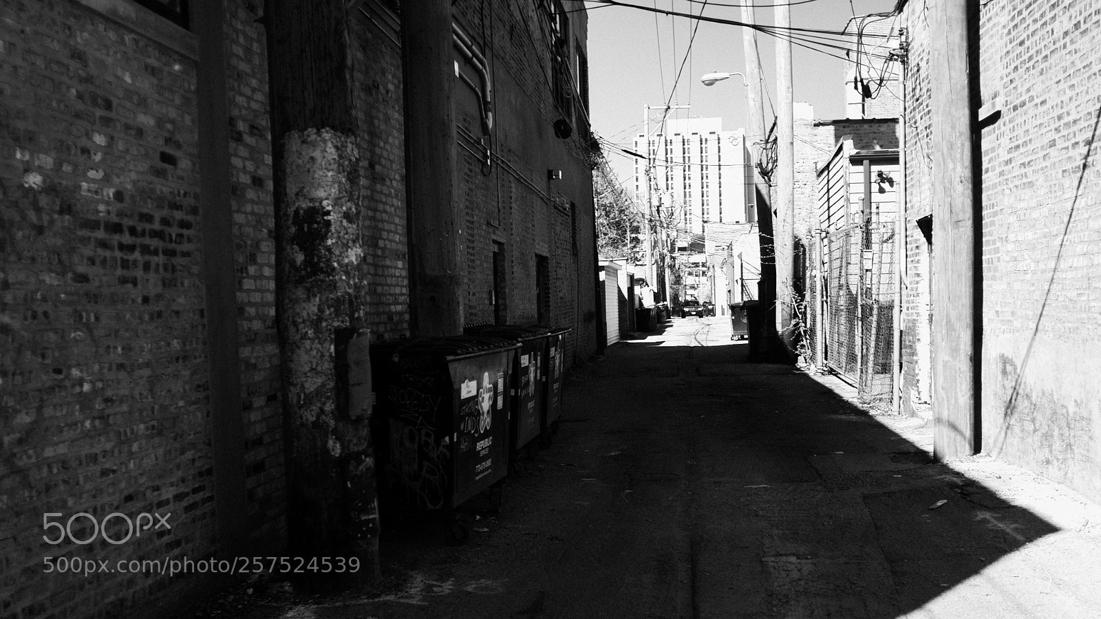 Fujifilm FinePix X100 sample photo. Alley south of damen photography