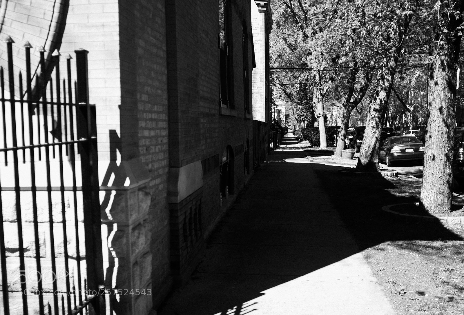 Fujifilm FinePix X100 sample photo. Damen and haddon photography