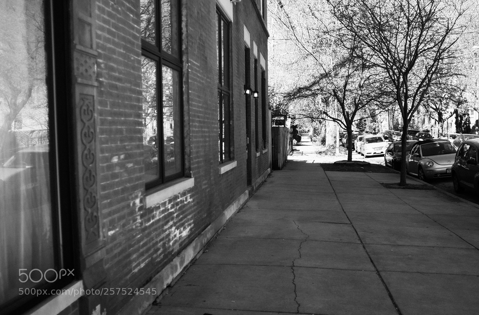 Fujifilm FinePix X100 sample photo. Damen and thomas photography
