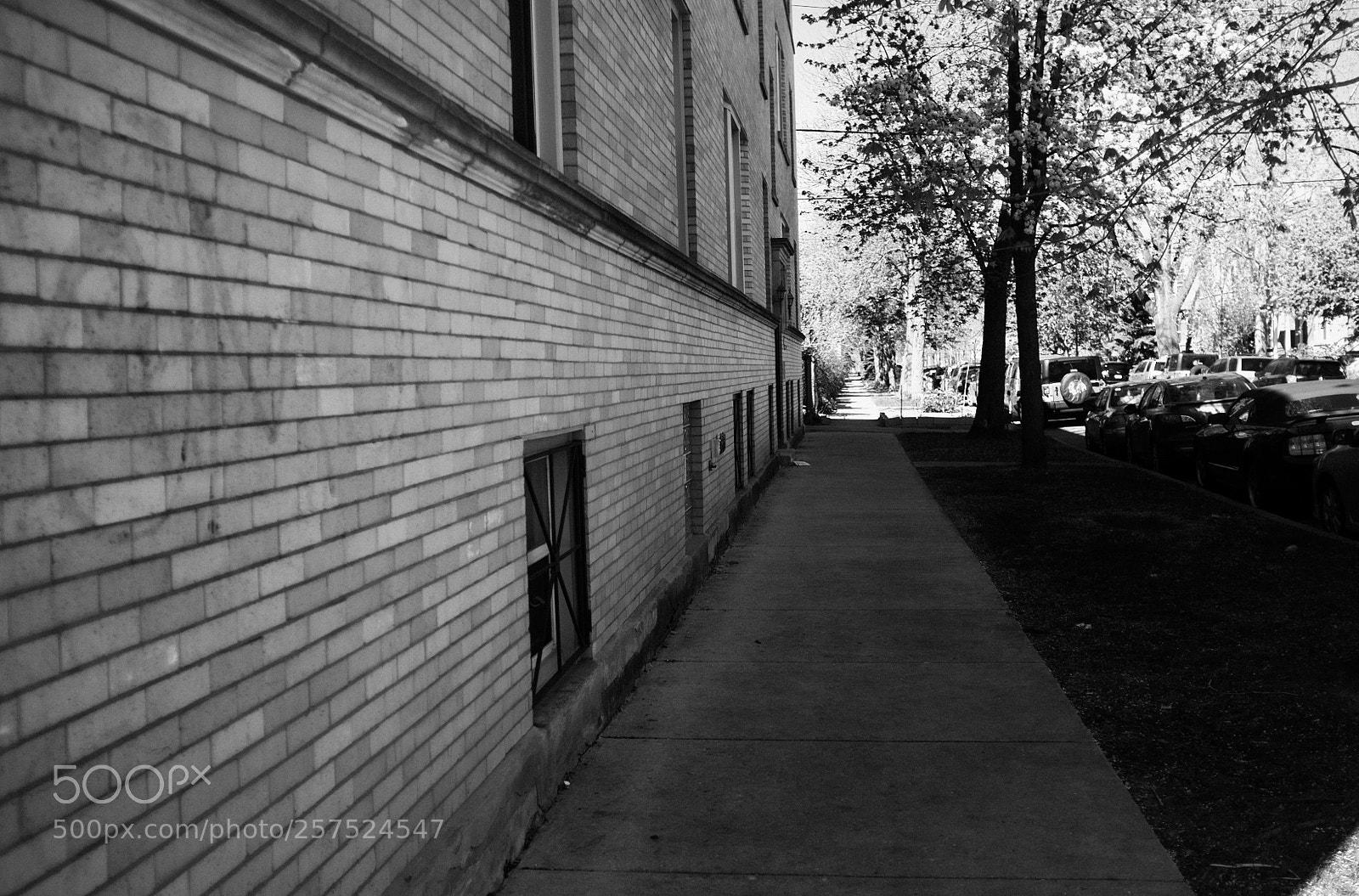 Fujifilm FinePix X100 sample photo. Damen and cortez photography