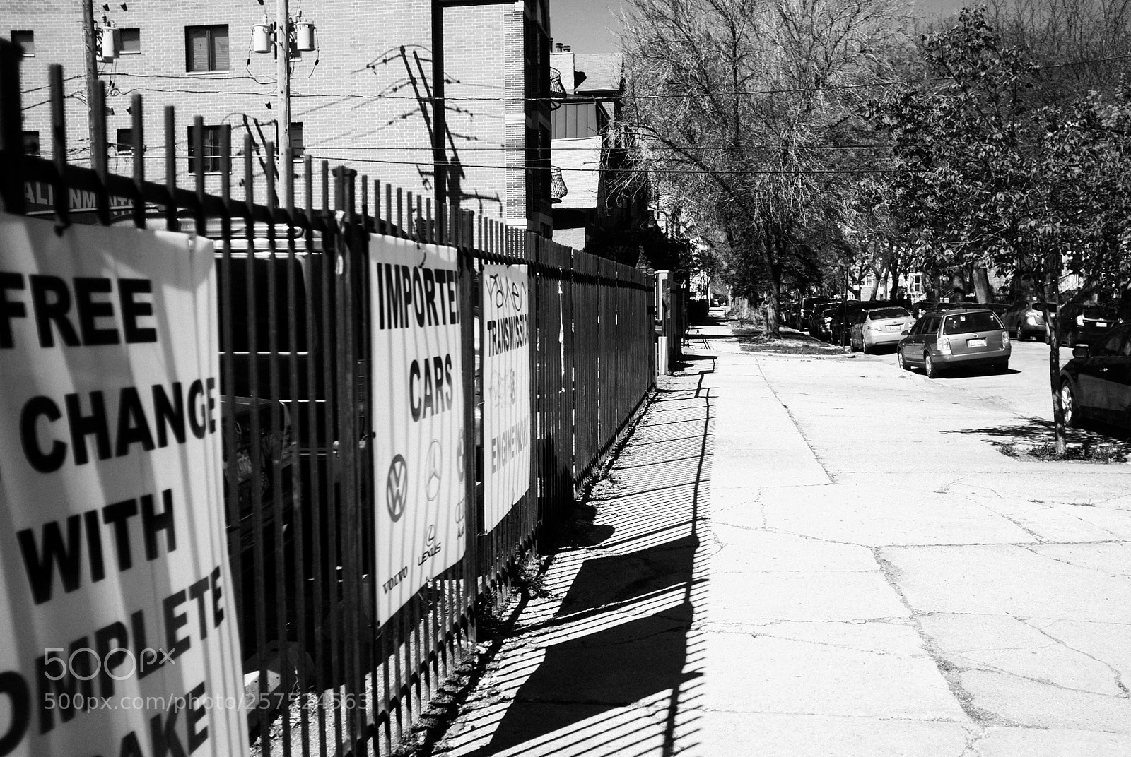 Fujifilm FinePix X100 sample photo. Damen and rice photography