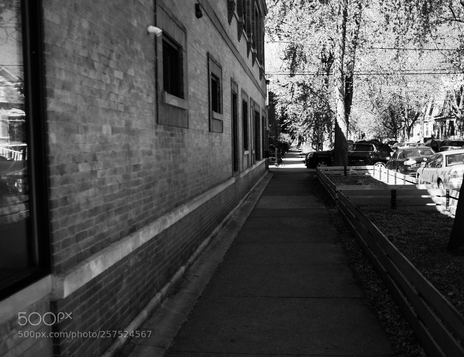 Fujifilm FinePix X100 sample photo. Damen and walton photography