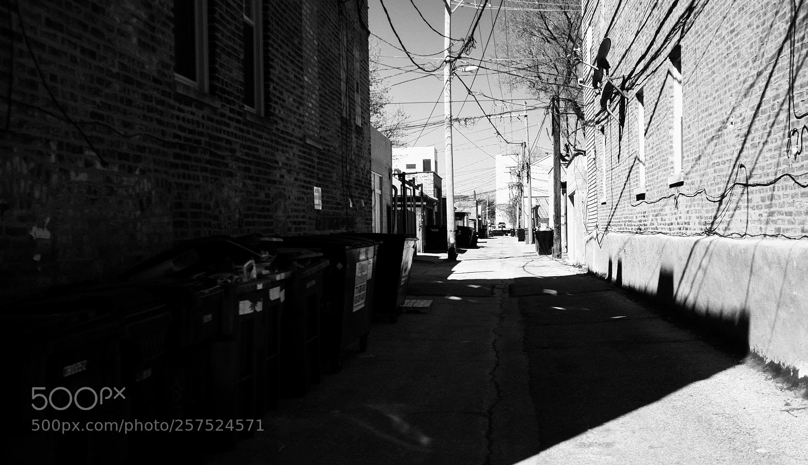Fujifilm FinePix X100 sample photo. Alley south of damen photography