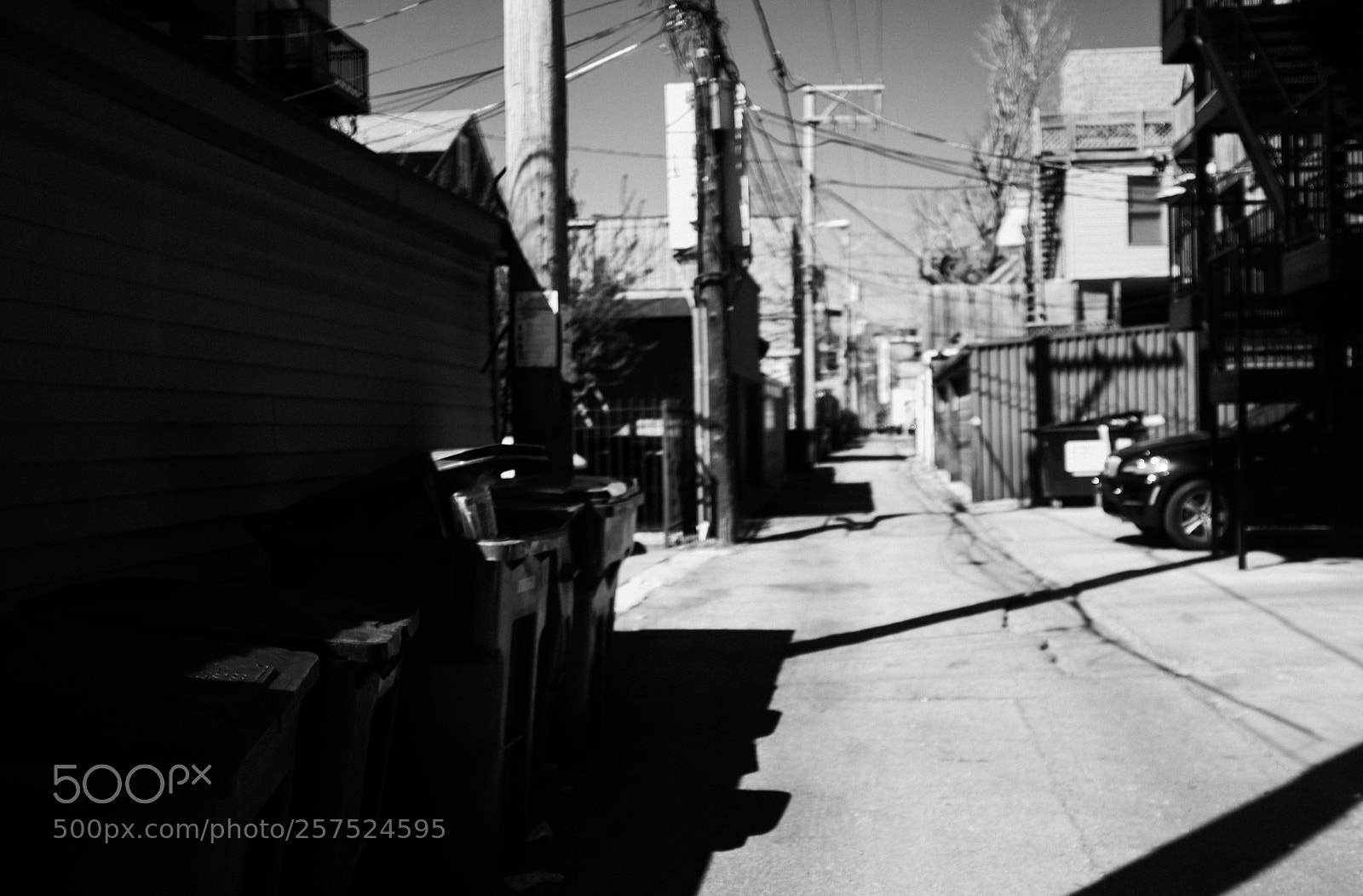 Fujifilm FinePix X100 sample photo. Alley south of damen photography