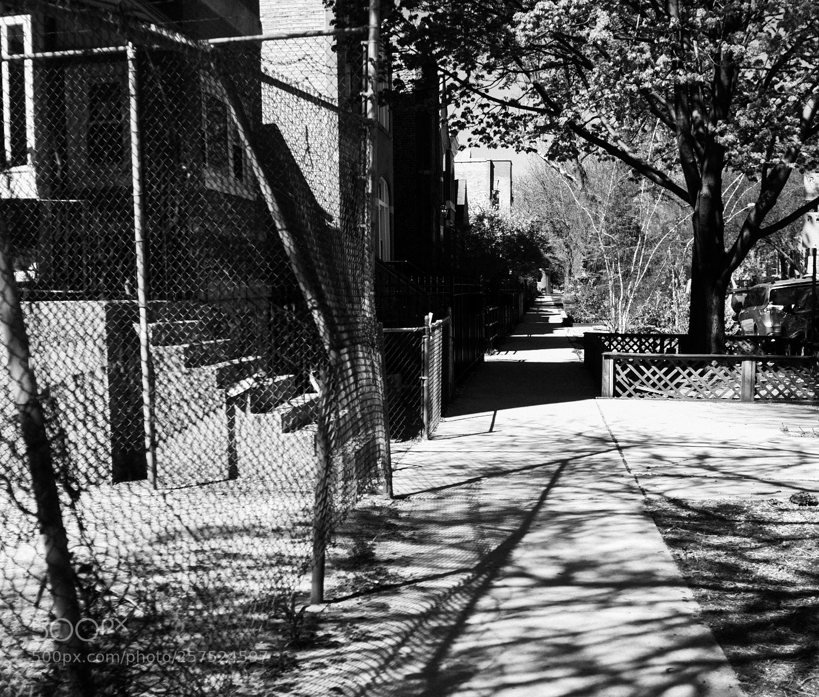 Fujifilm FinePix X100 sample photo. Damen and huron photography