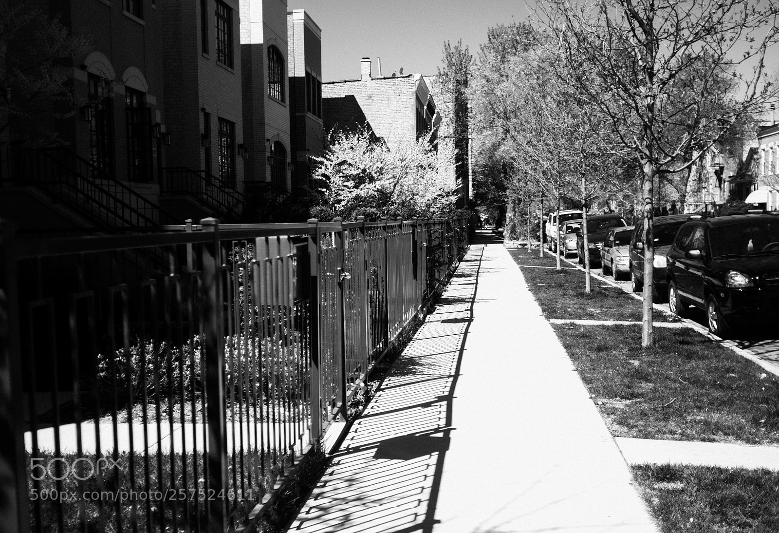 Fujifilm FinePix X100 sample photo. Damen and erie photography