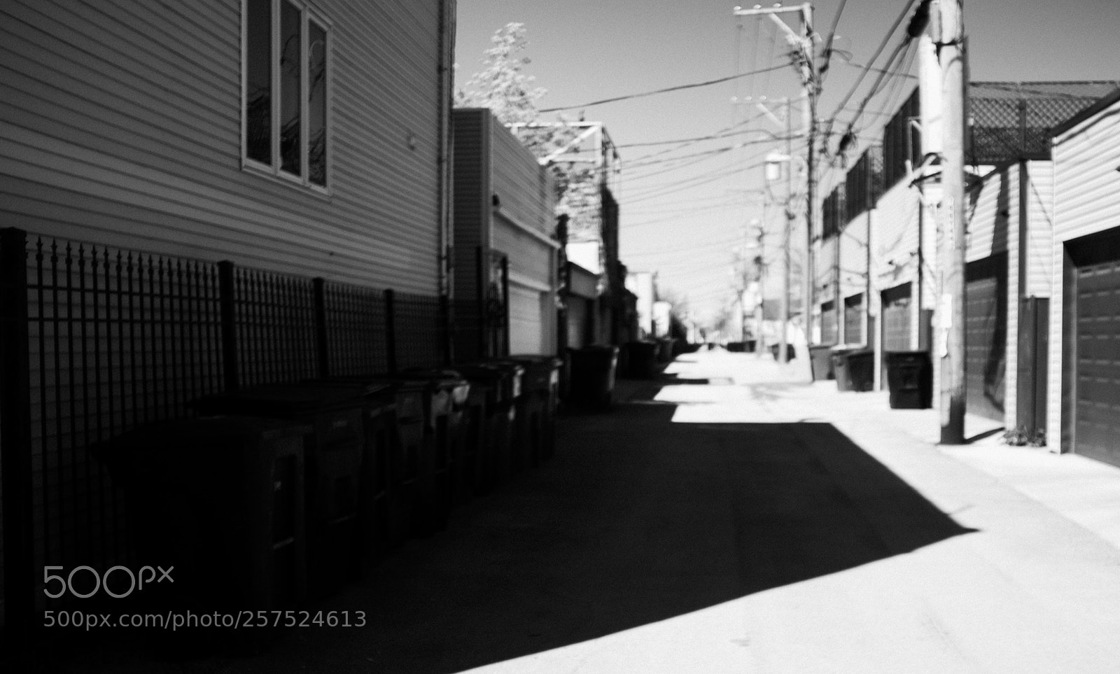 Fujifilm FinePix X100 sample photo. Alley south of damen photography