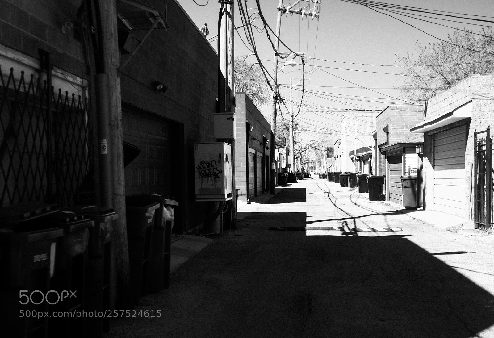 Fujifilm FinePix X100 sample photo. Alley south of damen photography