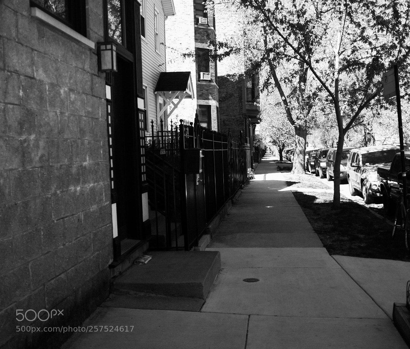 Fujifilm FinePix X100 sample photo. Damen and ohio photography